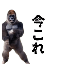 [LINEスタンプ] 動く！横揺れゴリラ