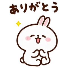 [LINEスタンプ] 可愛いずっと使えるうさぎ日常挨拶スタンプ