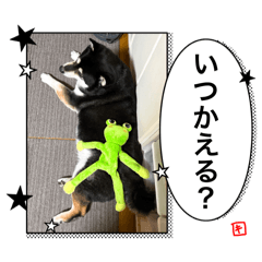 [LINEスタンプ] KIKI sticker85