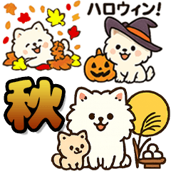 [LINEスタンプ] 秋♡ず～っと使える♡ポメラニアン
