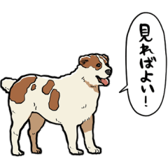 [LINEスタンプ] しゃべるアラバイ