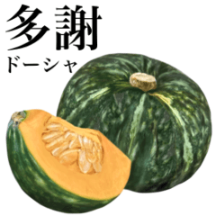 [LINEスタンプ] 国産かぼちゃ 【台湾語】