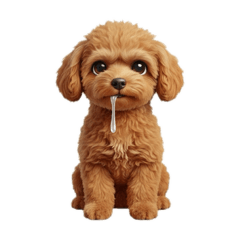 [LINEスタンプ] トイプードルのスタイル