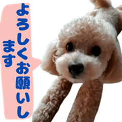 [LINEスタンプ] かわいすぎる！パピーくんスタンプ2