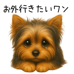 [LINEスタンプ] おねだりヨークシャーテリア