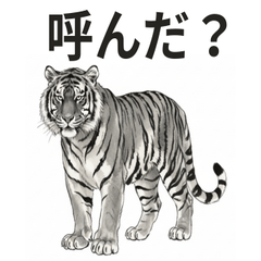 [LINEスタンプ] ほっこり＆おちゃめなトラさんスタンプ