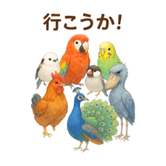 [LINEスタンプ] カラフルな鳥さんからのお誘いスタンプ