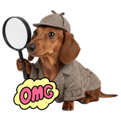 [LINEスタンプ] 犬達の日常生活 1
