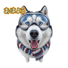 [LINEスタンプ] 犬達の日常生活 2