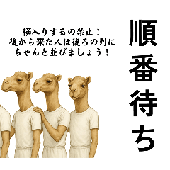 [LINEスタンプ] ラクダaiスタンプ