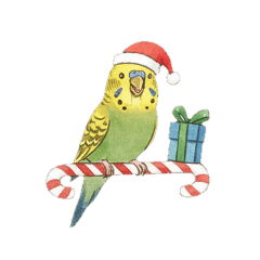 [LINEスタンプ] 冬のほっこりインコのクリスマススタンプ