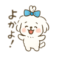 [LINEスタンプ] ちょんまげマルチーズ♡博多生まれ