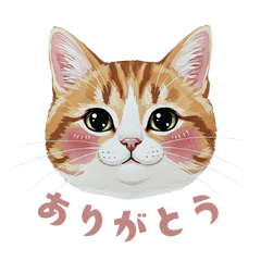 [LINEスタンプ] フレークシールみたいな猫の顔スタンプ