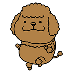 [LINEスタンプ] かわいい トイプーさん