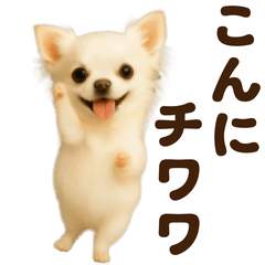 [LINEスタンプ] 踊る♡チワワ