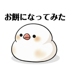 [LINEスタンプ] 文鳥のスタイル