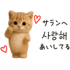 [LINEスタンプ] ふわふわ子猫のまいにち韓国語♡