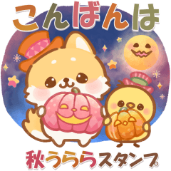 [LINEスタンプ] しばワンコの秋うららスタンプ
