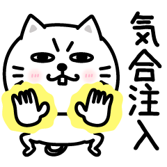 [LINEスタンプ] ぷるねこちゃーんポジティブって大事