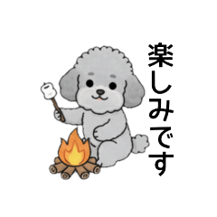 [LINEスタンプ] 使いやすい敬語のトイプードル