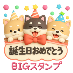 [LINEスタンプ] 【BIG】柴犬の誕生日＆お祝い＆ありがとう
