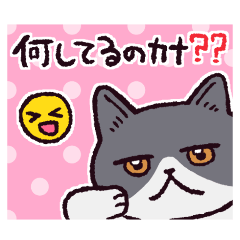 [LINEスタンプ] エキゾチックショートヘアです