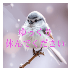 [LINEスタンプ] リアルなシマエナガのスタンプ