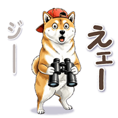[LINEスタンプ] 愉快な動く柴犬