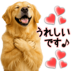 [LINEスタンプ] ゴールデンレトリバー★毎日使う気遣い♡