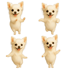 [LINEスタンプ] 動く！小さいチワワ