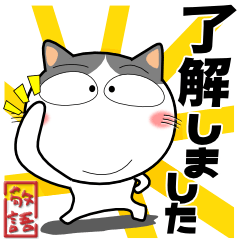 [LINEスタンプ] ハチワレ猫★ビジネス敬語