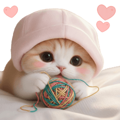 [LINEスタンプ] スコティッシュ猫 布団ねこ 可愛い日常