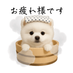 [LINEスタンプ] 湯けむりわんこ♨️文字ありver.