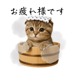 [LINEスタンプ] 湯けむりにゃんこ♨️文字ありver.