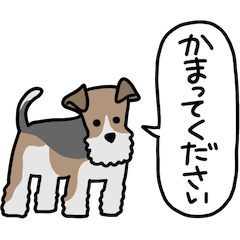 [LINEスタンプ] フォックステリア<敬語>