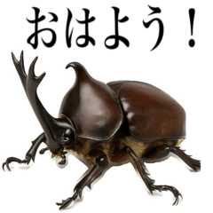 [LINEスタンプ] リアルな虫の挨拶スタンプ