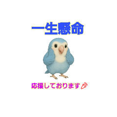 [LINEスタンプ] コザクラ語録♡癒しの四字熟語