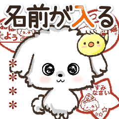 [LINEスタンプ] 名前が入る★愛犬♡マルチーズ【判子】