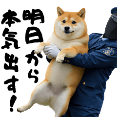 [LINEスタンプ] ぽっちゃりした柴犬がダイエット！