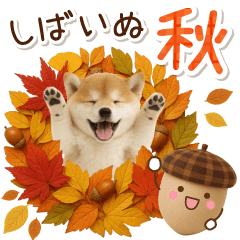 [LINEスタンプ] 大人かわいい秋の癒し柴犬