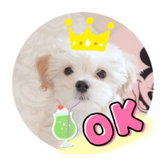 [LINEスタンプ] 〜わんこの日常生活〜