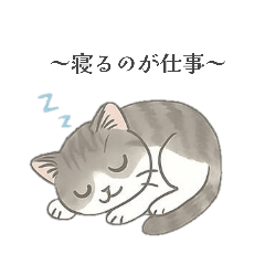 [LINEスタンプ] 猫のクリ、まったり会話する