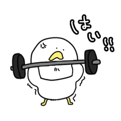[LINEスタンプ] トレーニーコケ