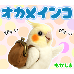[LINEスタンプ] オカメインコの日常。