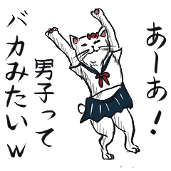 [LINEスタンプ] 志保ちゃん1(無理矢理二足歩行猫)再販