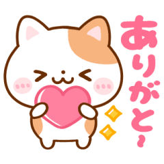 [LINEスタンプ] 動く▶︎ねこねこにゃんこ