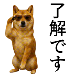 [LINEスタンプ] 【踊る】シブ犬