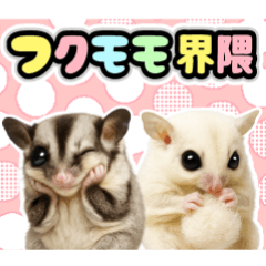 [LINEスタンプ] フクモモ兄弟の界隈生活