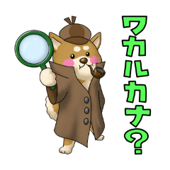 [LINEスタンプ] クイズの知らせ方