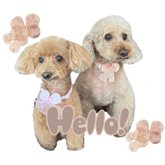 [LINEスタンプ] うちの親子いっぬ